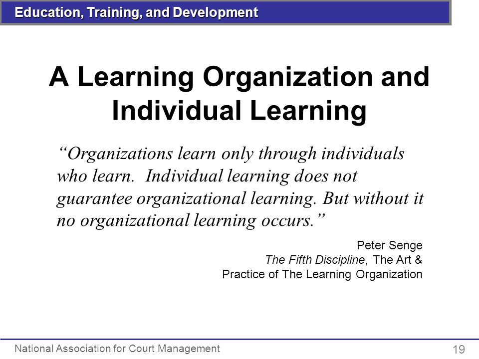 Individual: Organizational Learning Disabilities Essay